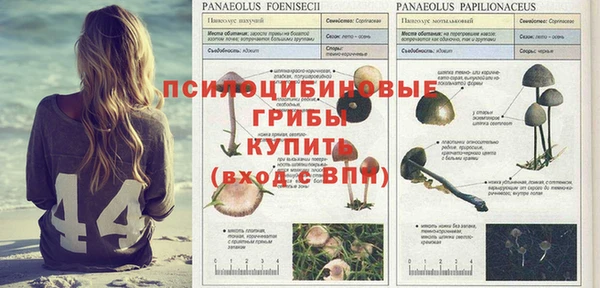 MDMA Богородицк